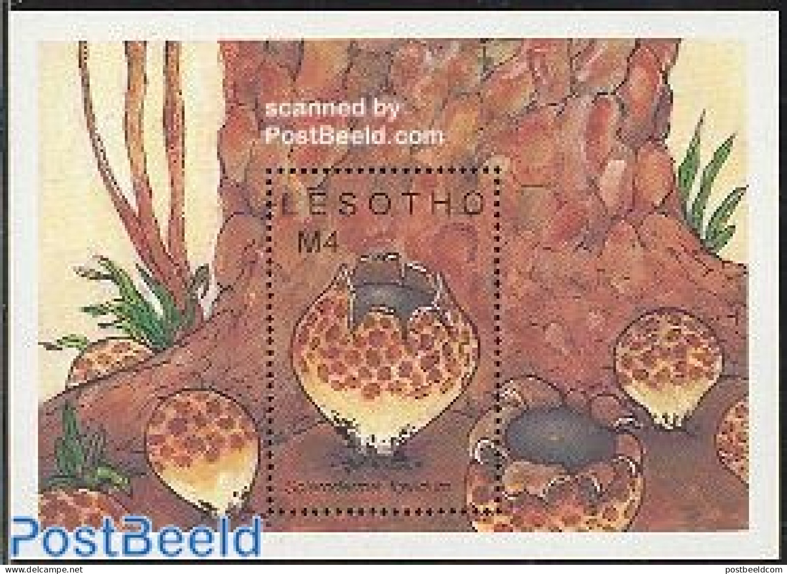 Lesotho 1989 Mushrooms S/s, Mint NH, Nature - Mushrooms - Champignons