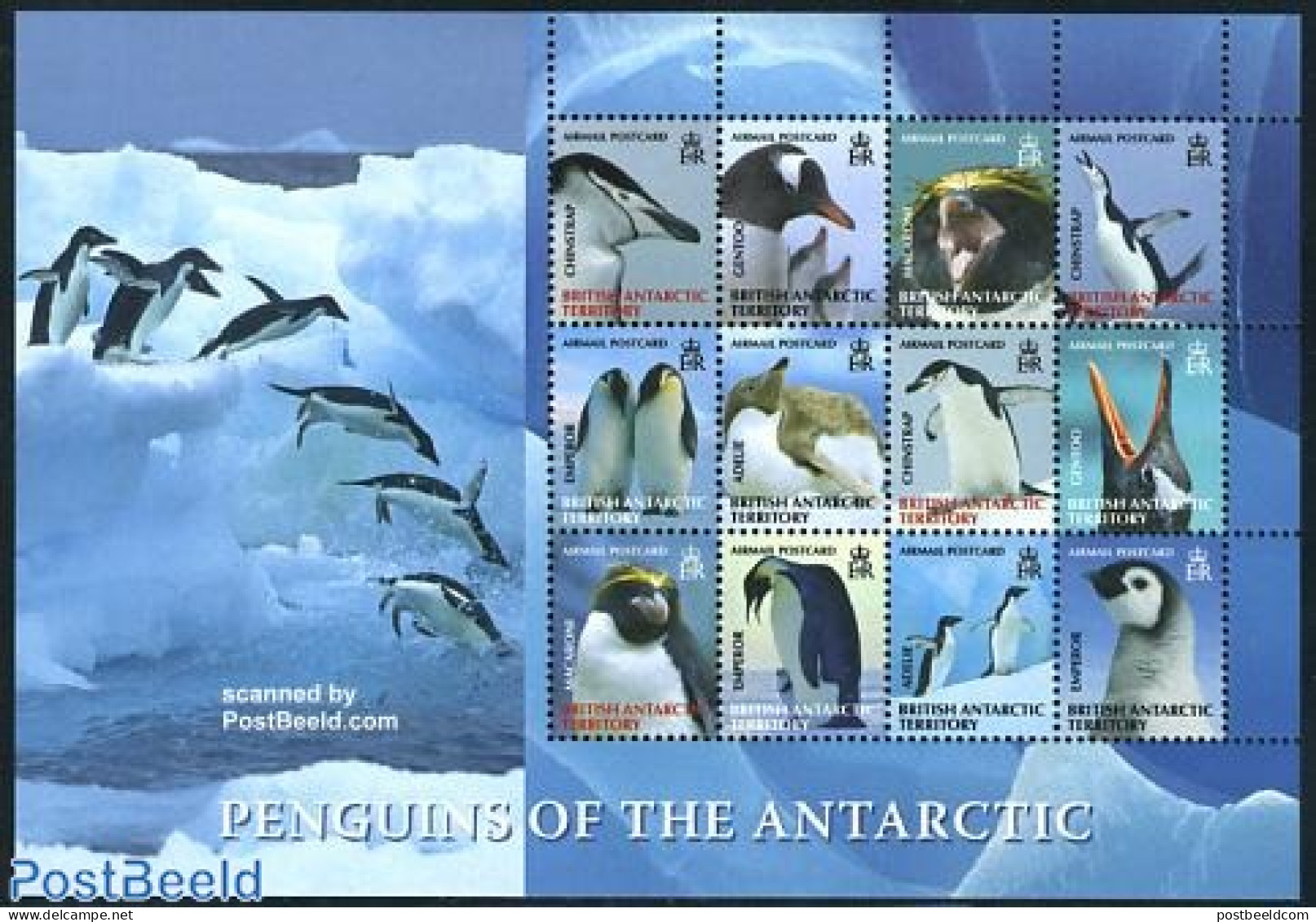 British Antarctica 2008 Penguins 12v M/s, Mint NH, Nature - Birds - Penguins - Andere & Zonder Classificatie