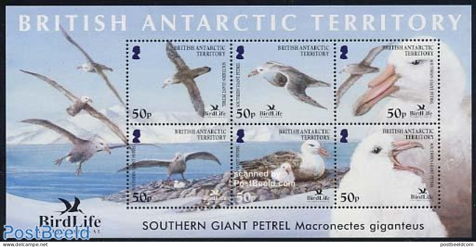 British Antarctica 2005 Birdlife International 6v M/s, Mint NH, Nature - Bird Life Org. - Birds - Andere & Zonder Classificatie
