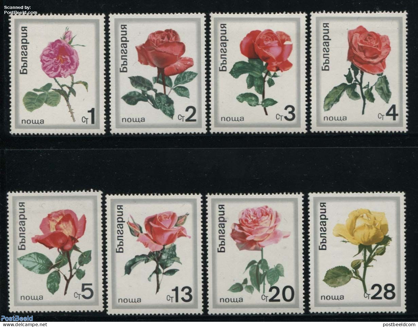 Bulgaria 1970 Roses 8v, Mint NH, Nature - Flowers & Plants - Roses - Neufs