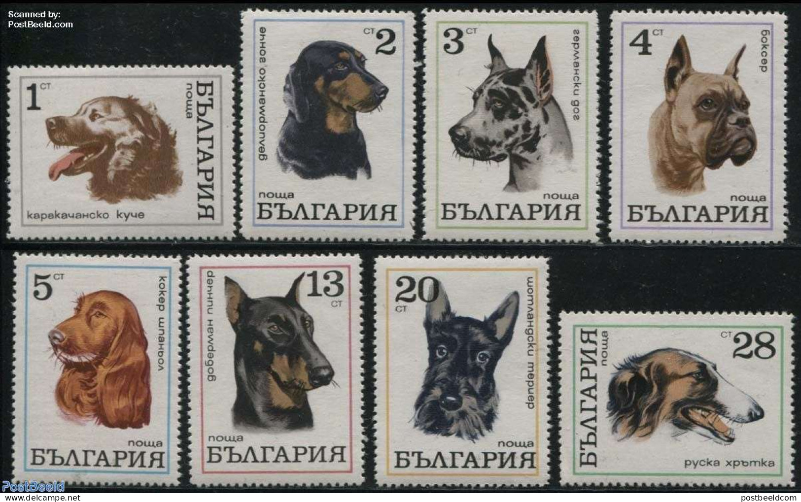 Bulgaria 1970 Dogs 8v, Mint NH, Nature - Dogs - Ongebruikt