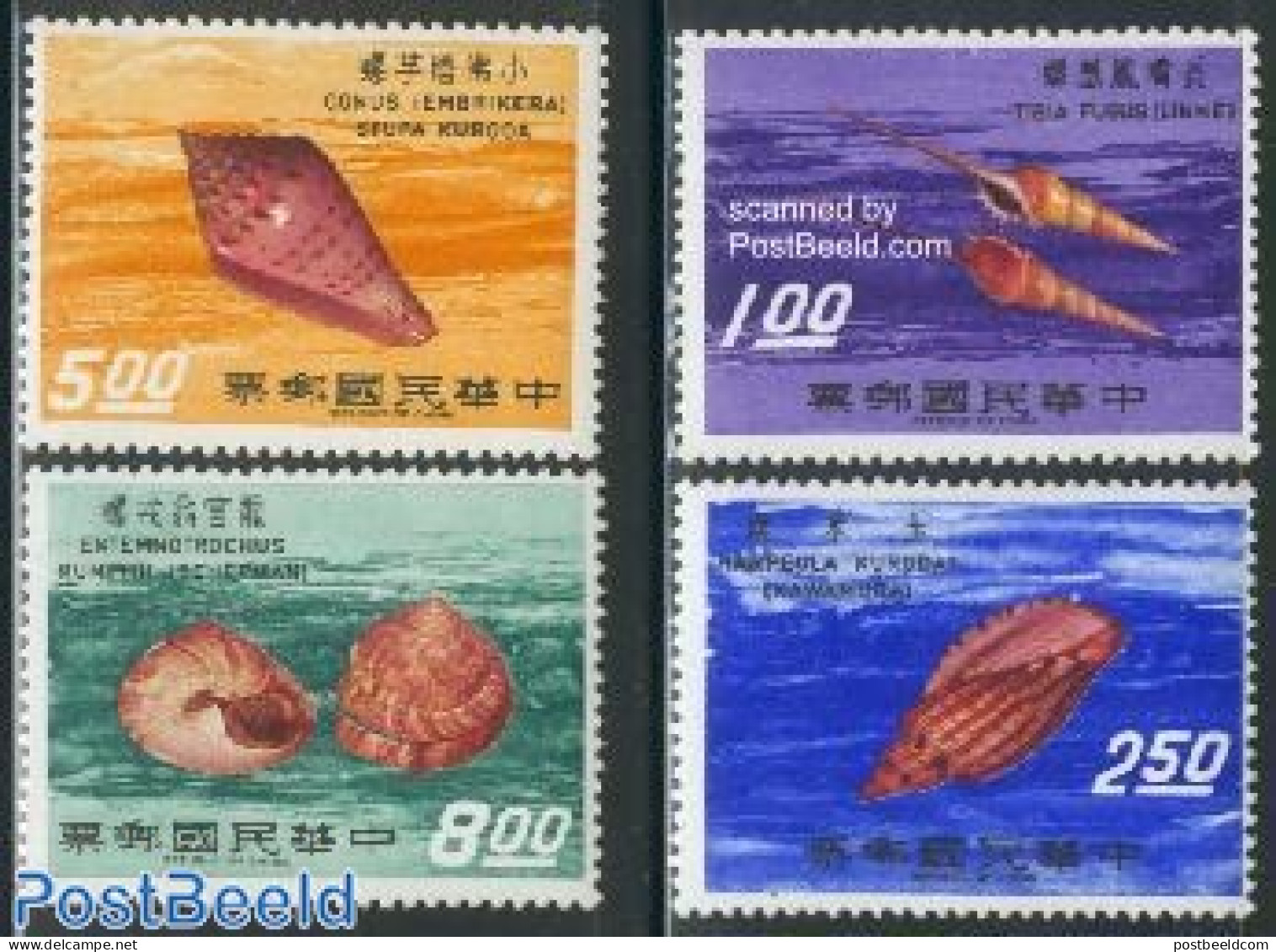 Taiwan 1971 Shells 4v, Mint NH, Nature - Shells & Crustaceans - Maritiem Leven
