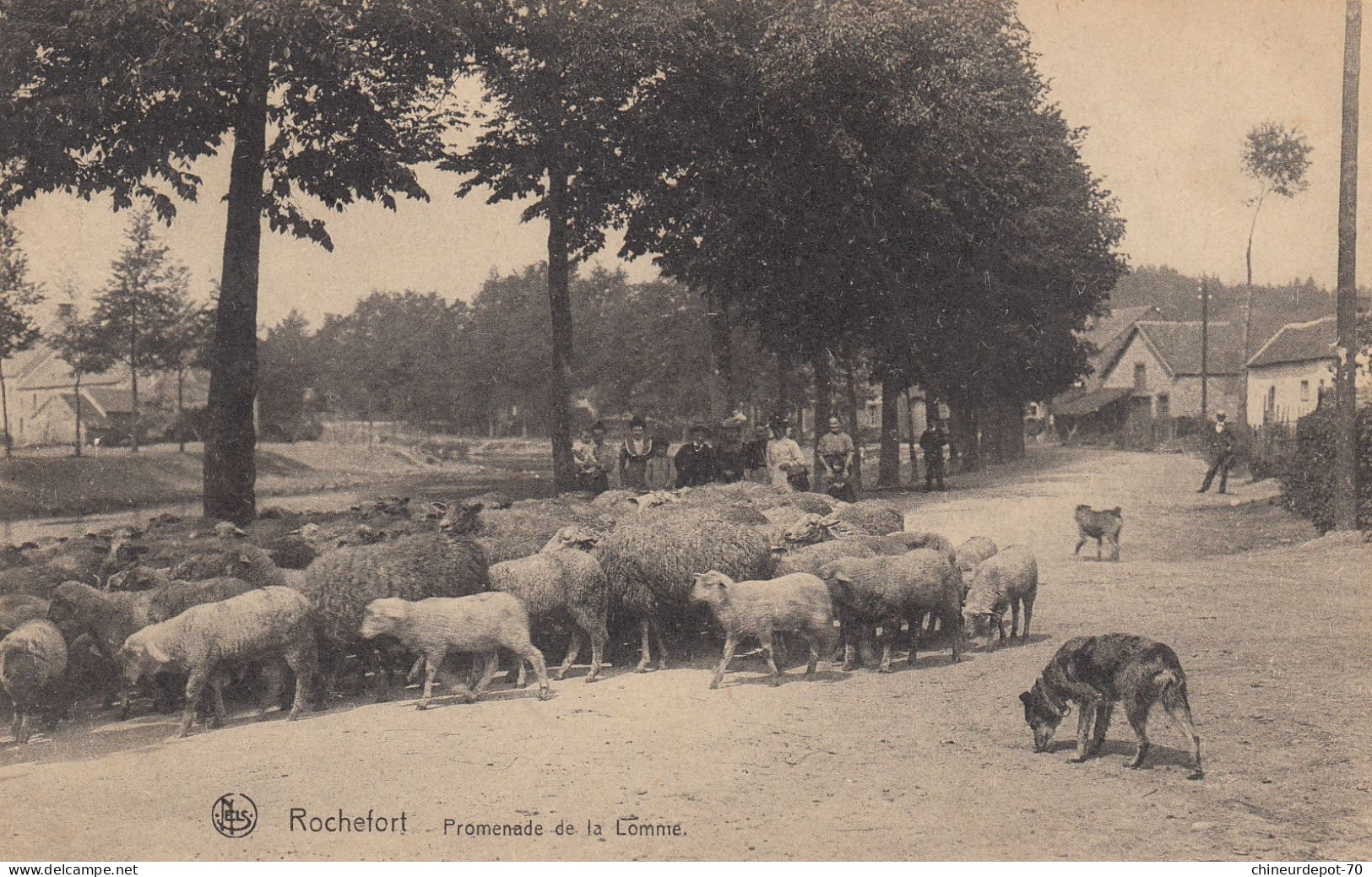 ROCHFORT   PROMENADE DE LA LOMME - Rochefort
