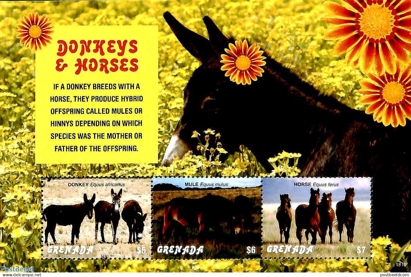 Grenada 2018 Donkeys And Horses 3v M/s, Mint NH, Nature - Animals (others & Mixed) - Horses - Andere & Zonder Classificatie