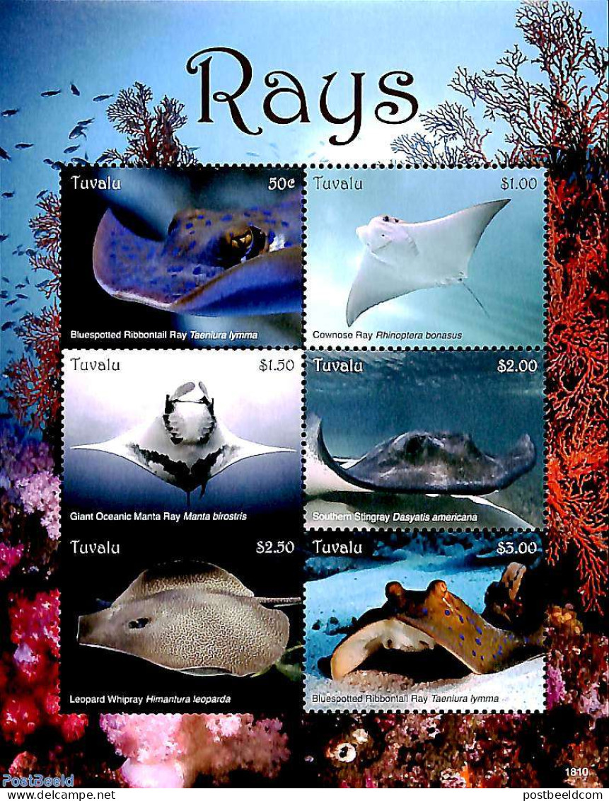 Tuvalu 2018 Rays 6v M/s, Mint NH, Nature - Fish - Fishes