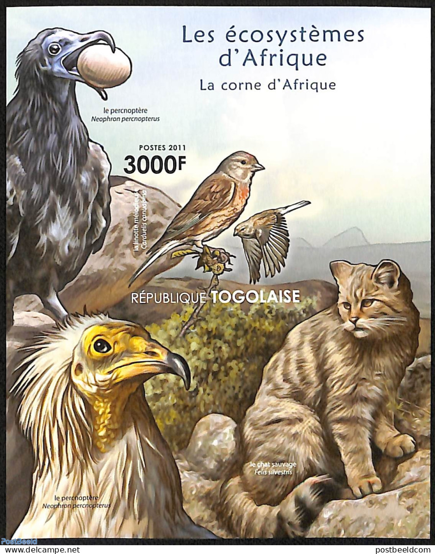 Togo 2011 African Ecosystem, Imperforated, Mint NH, Nature - Birds - Birds Of Prey - Cat Family - Togo (1960-...)