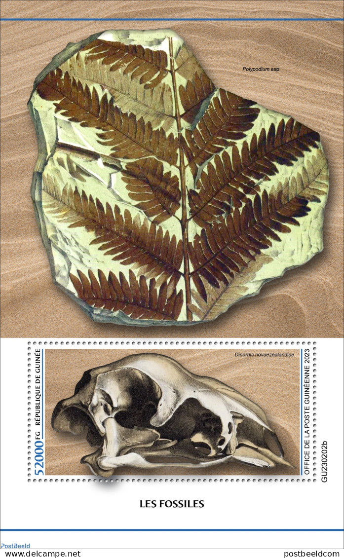 Guinea, Republic 2023 Fossils, Mint NH, Nature - Prehistory - Andere & Zonder Classificatie