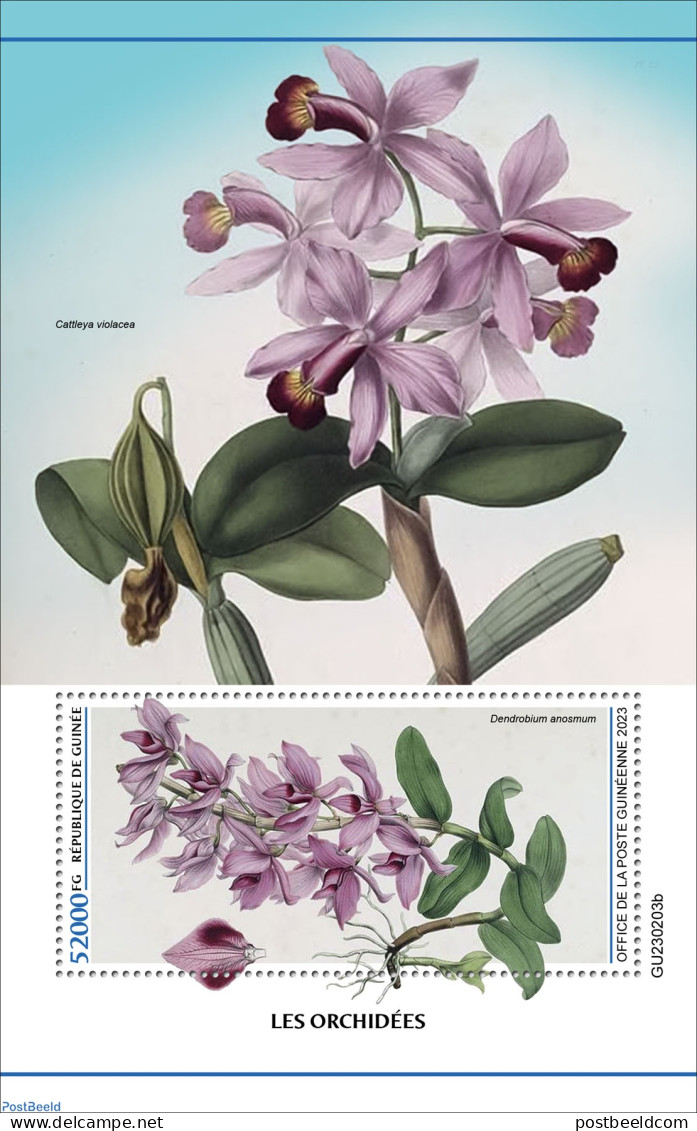 Guinea, Republic 2023 Orchids, Mint NH, Nature - Flowers & Plants - Orchids - Andere & Zonder Classificatie