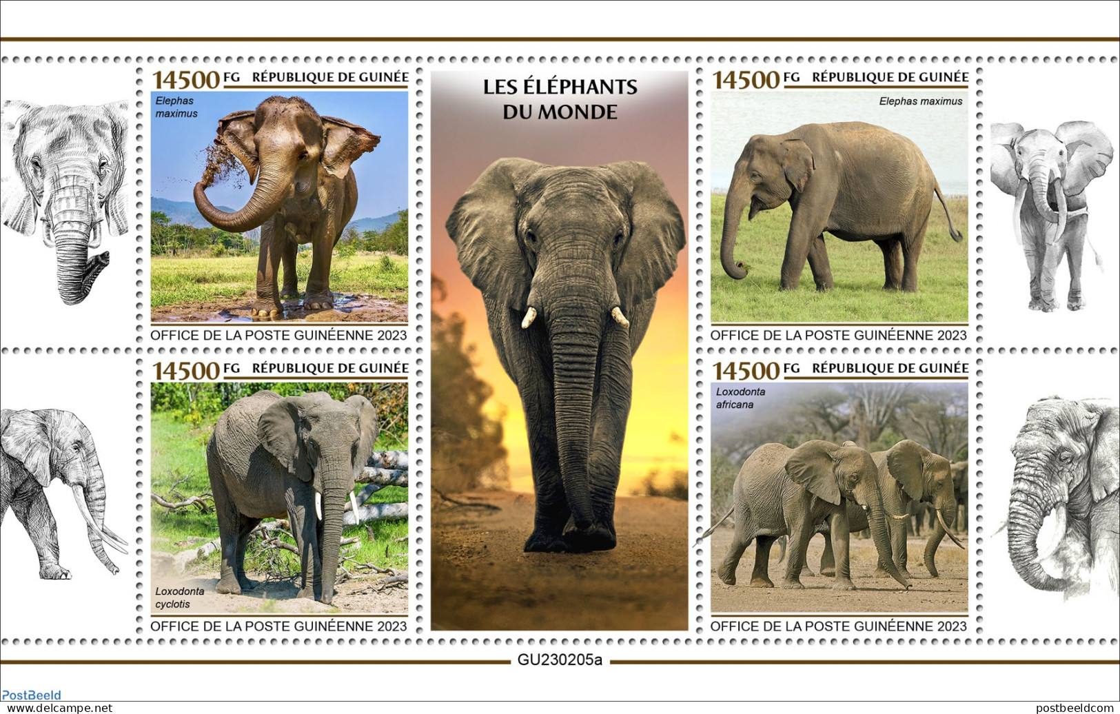 Guinea, Republic 2023 Elephants Of The World, Mint NH, Nature - Elephants - Andere & Zonder Classificatie