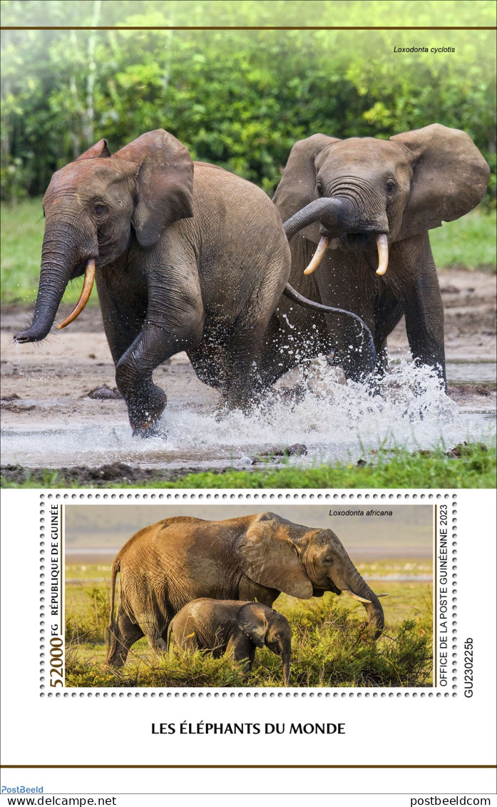 Guinea, Republic 2023 Elephants Of The World, Mint NH, Nature - Elephants - Andere & Zonder Classificatie