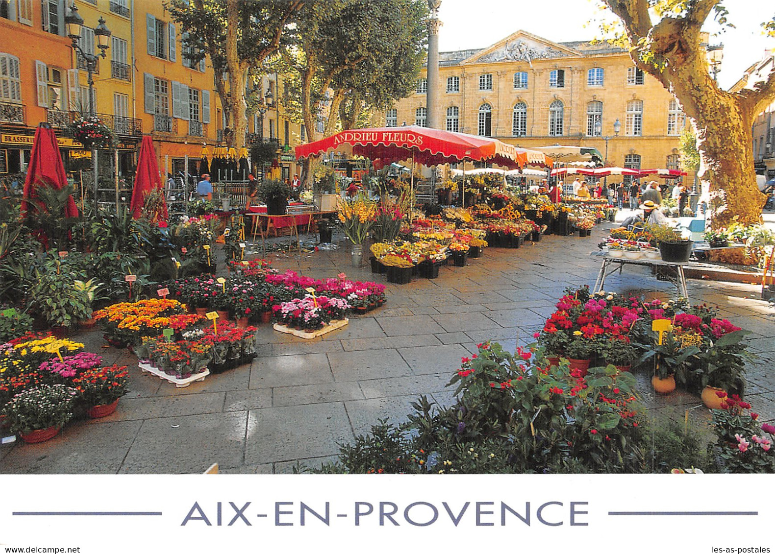 13 AIX EN PROVENCE LE MARCHE AUX FLEURS - Aix En Provence