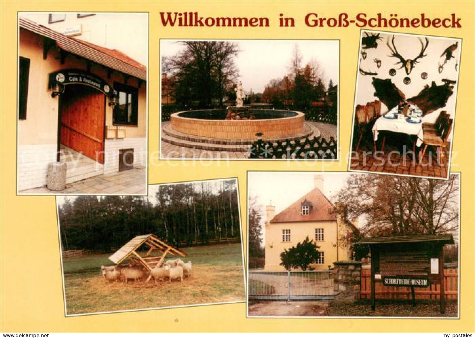 73642420 Gross Schoenebeck Gasthaus Zum Weissen Hirsch Schafe Gross Schoenebeck - Finowfurt