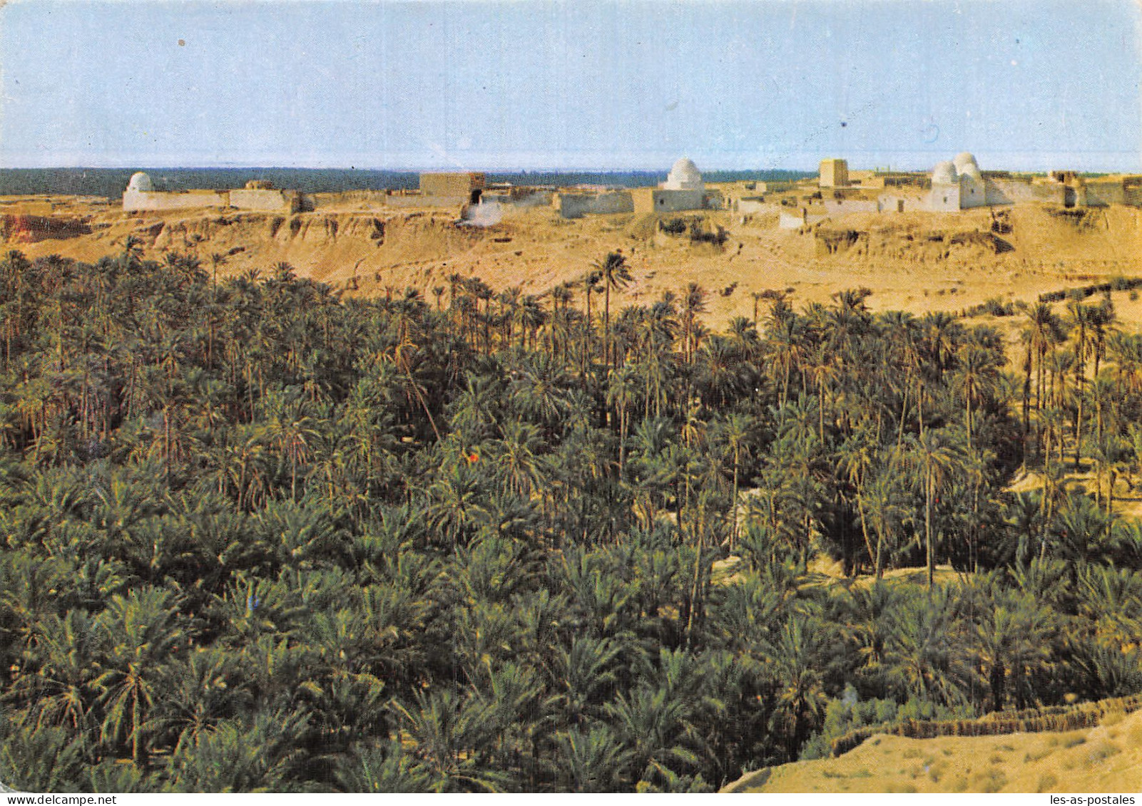 TUNISIE NEFTA LA CORBEILLE - Tunesien