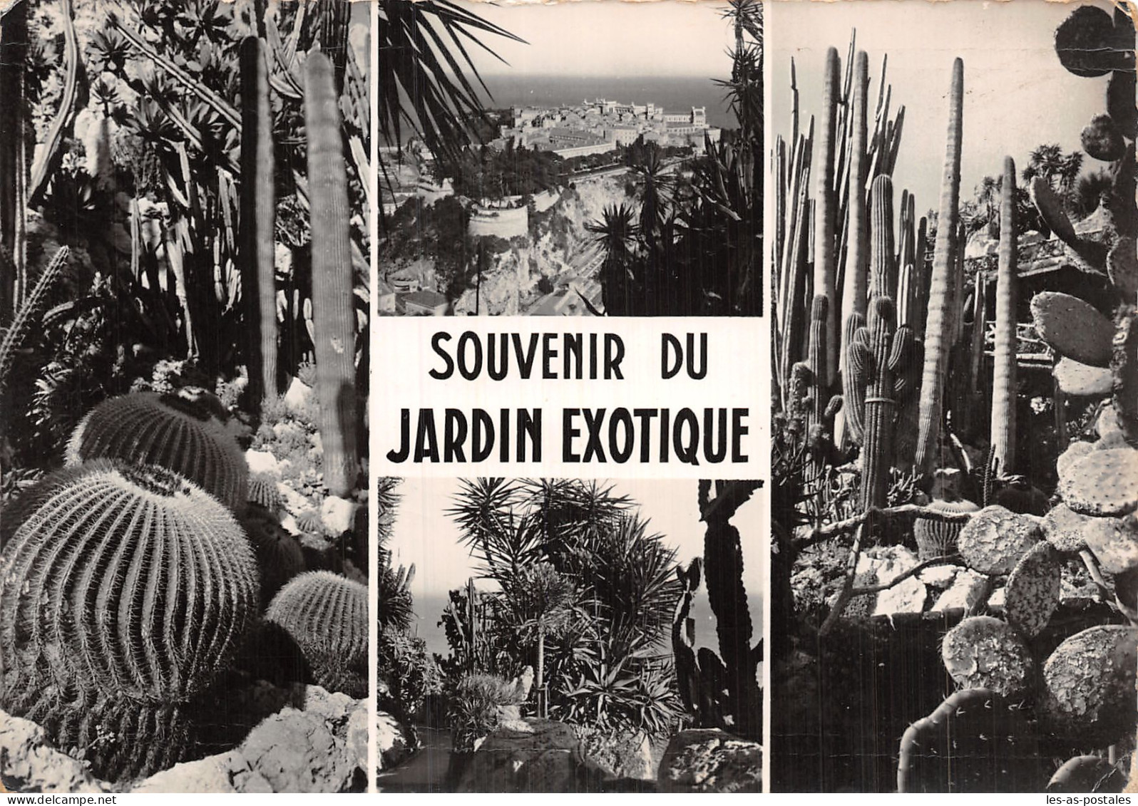 98 MONACO LE JARDIN EXOTIQUE - Exotischer Garten