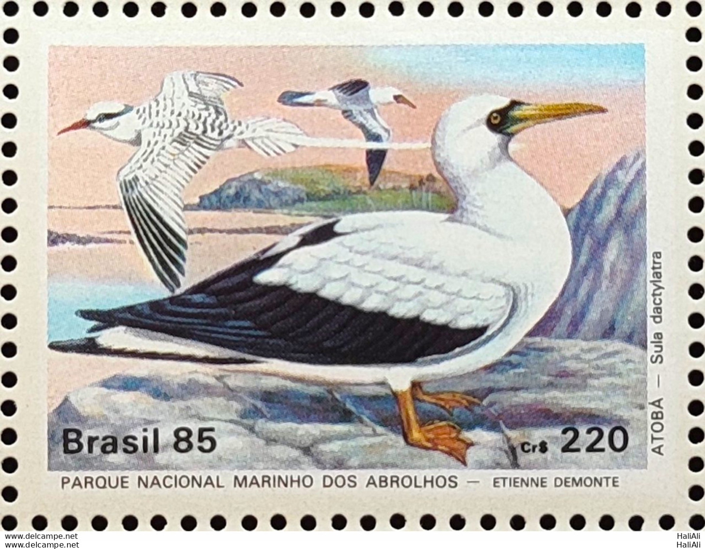 C 1462 Brazil Stamp Fauna Abrolhos Bird Atoba 1985 - Unused Stamps