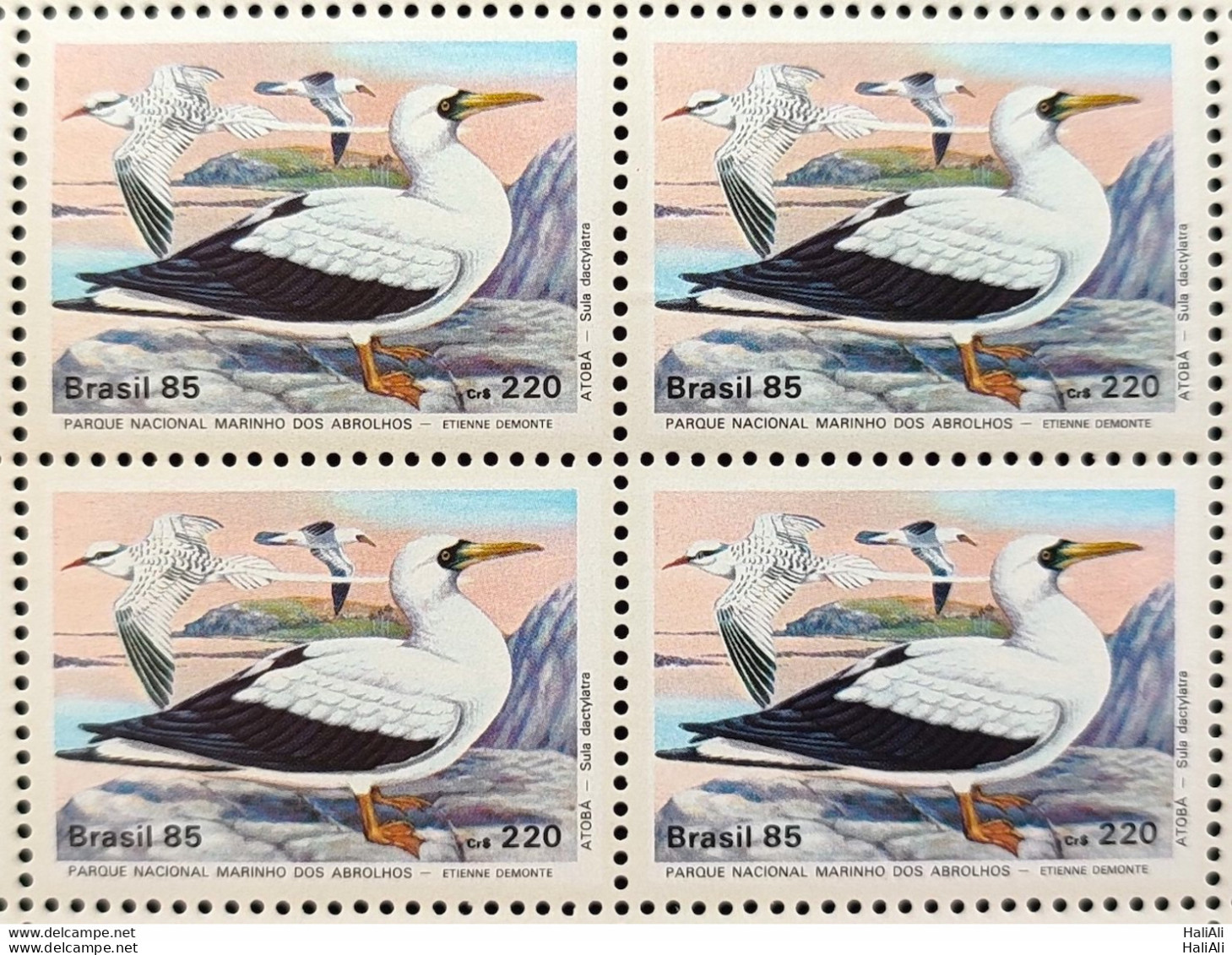 C 1462 Brazil Stamp Fauna Abrolhos Bird Atoba 1985 Block Of 4 - Neufs