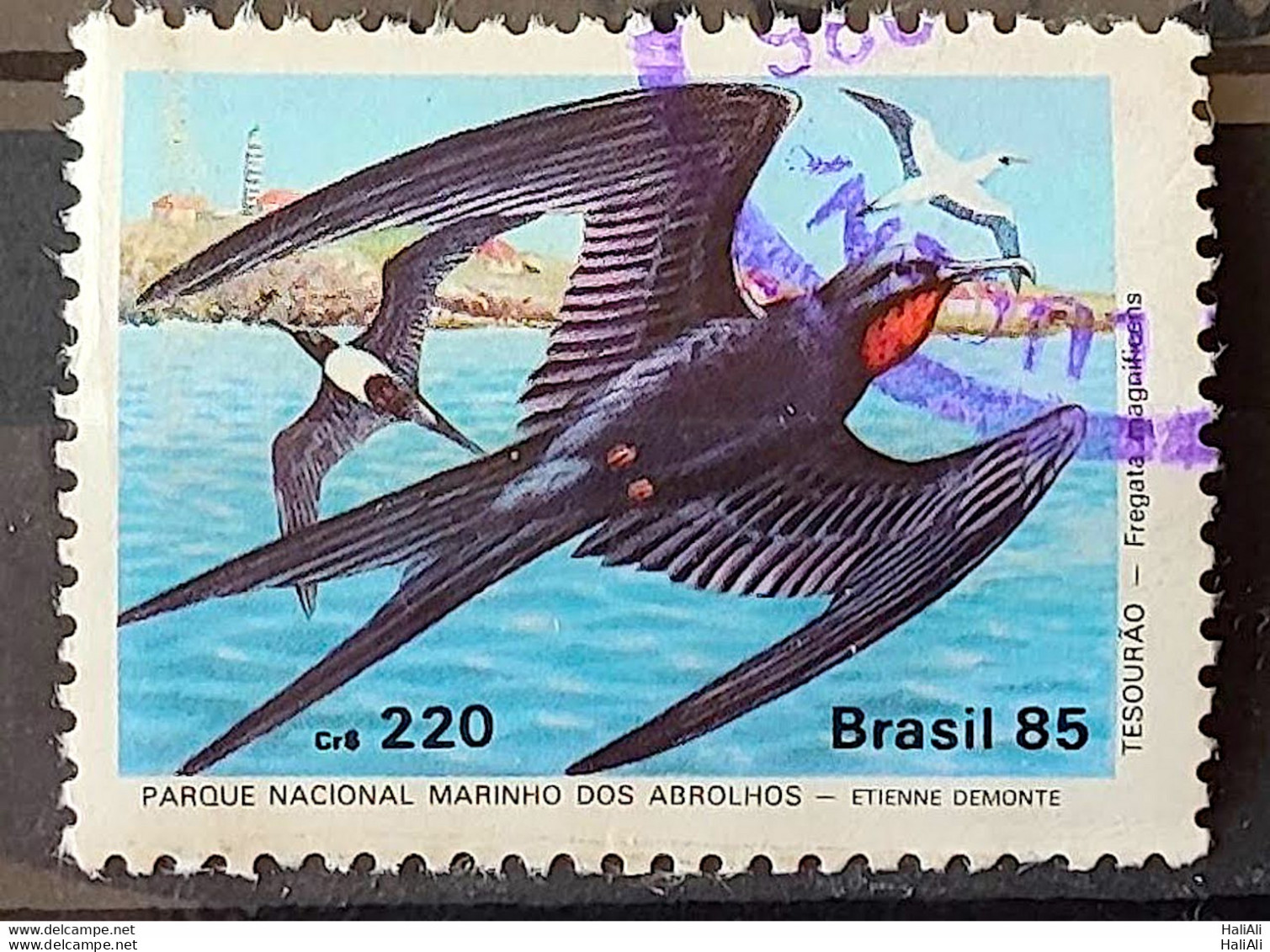 C 1461 Brazil Stamp Fauna Abrolhos Bird 1985 Circulated 1 - Used Stamps