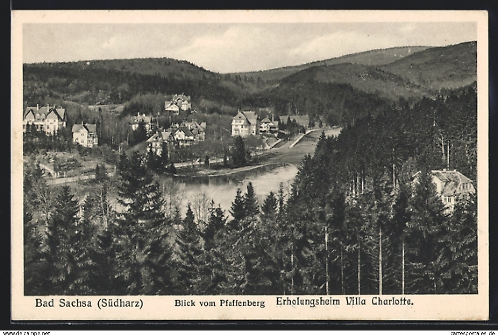 AK Bad Sachsa / Harz, Blick Vom Pfaffenberg, Erholungsheim Villa Charlotte  - Bad Sachsa