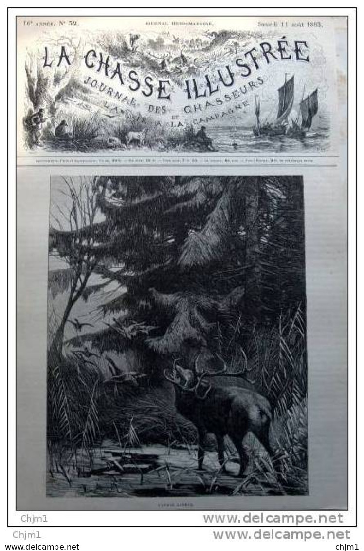 Röhrender Hirsch - Cerf Bramant - Alter Stich 1883 - Gravure - Prints & Engravings