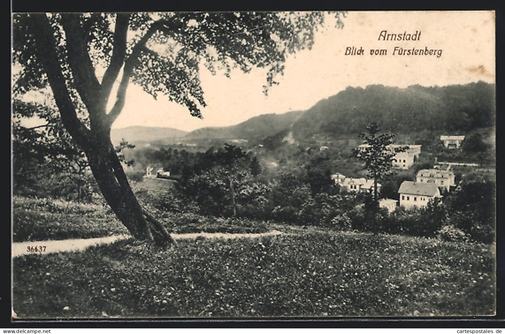 AK Arnstadt, Blick Vom Fürstenberg  - Arnstadt