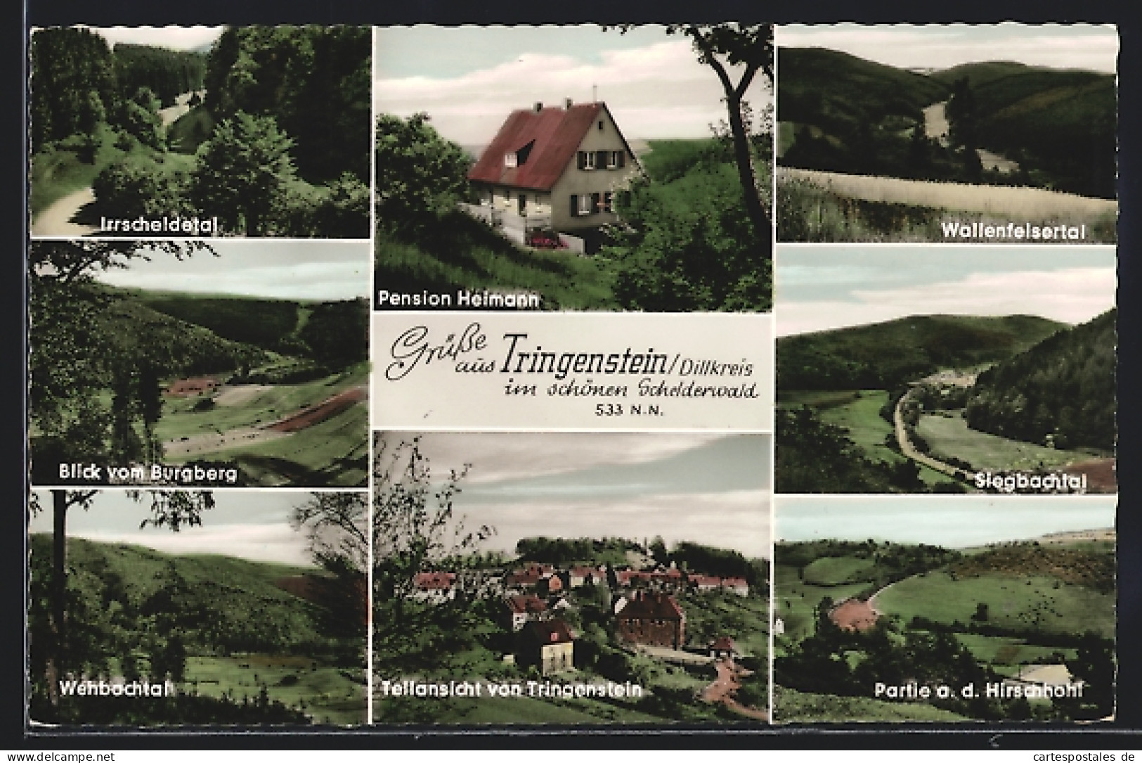 AK Tringenstein / Dillkreis, Hotel-Pension Heimann, Blick Vom Burgberg, Siegbachtal Und Wallenfelsertal  - Autres & Non Classés