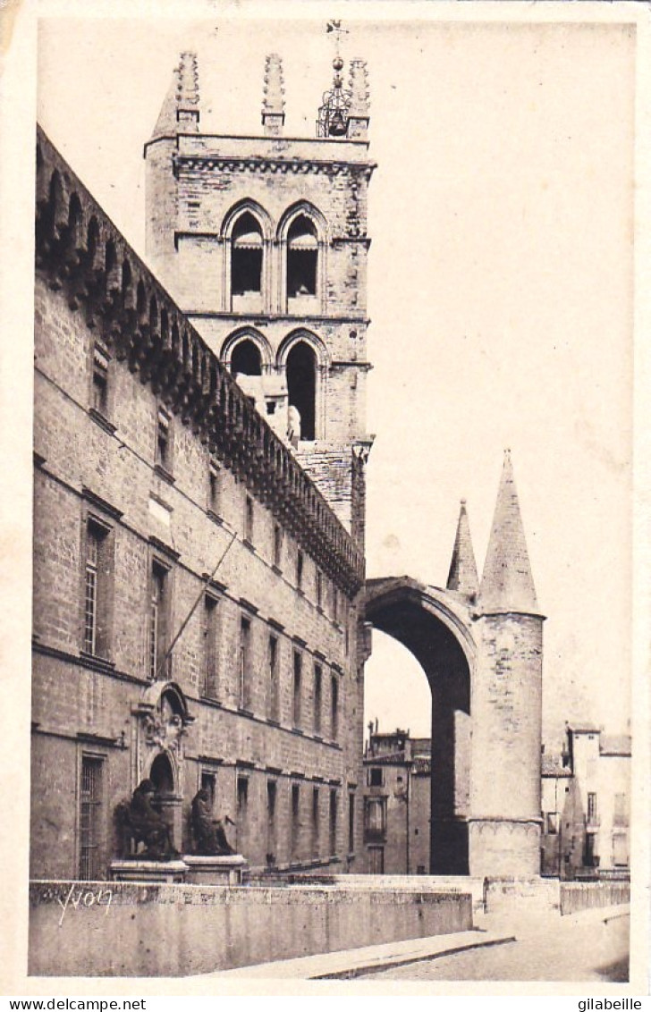 34 - Herault - MONTPELLIER - Faculté De Médecine Et La Cathedrale Saint Pierre - Montpellier