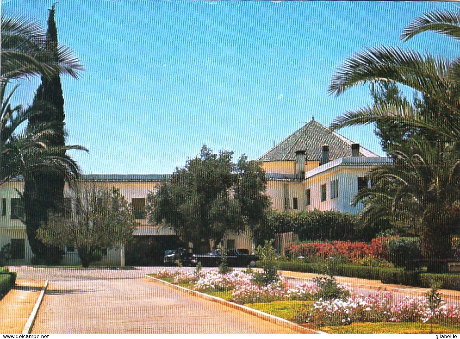 MEKNES - Hotel Transatlantique - Chaine Hoteliere De L'office National Des Chemins De Fer - Meknes