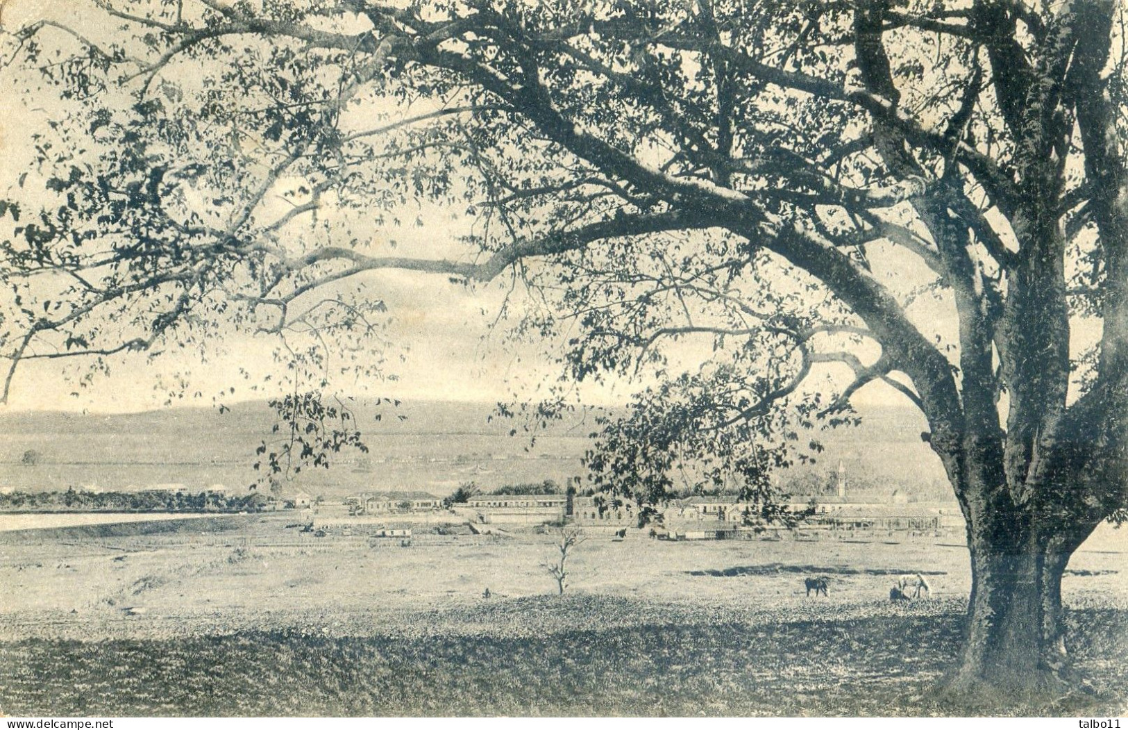 Bresil - Sao Paulo - Vista Général De Una Fazenda - São Paulo