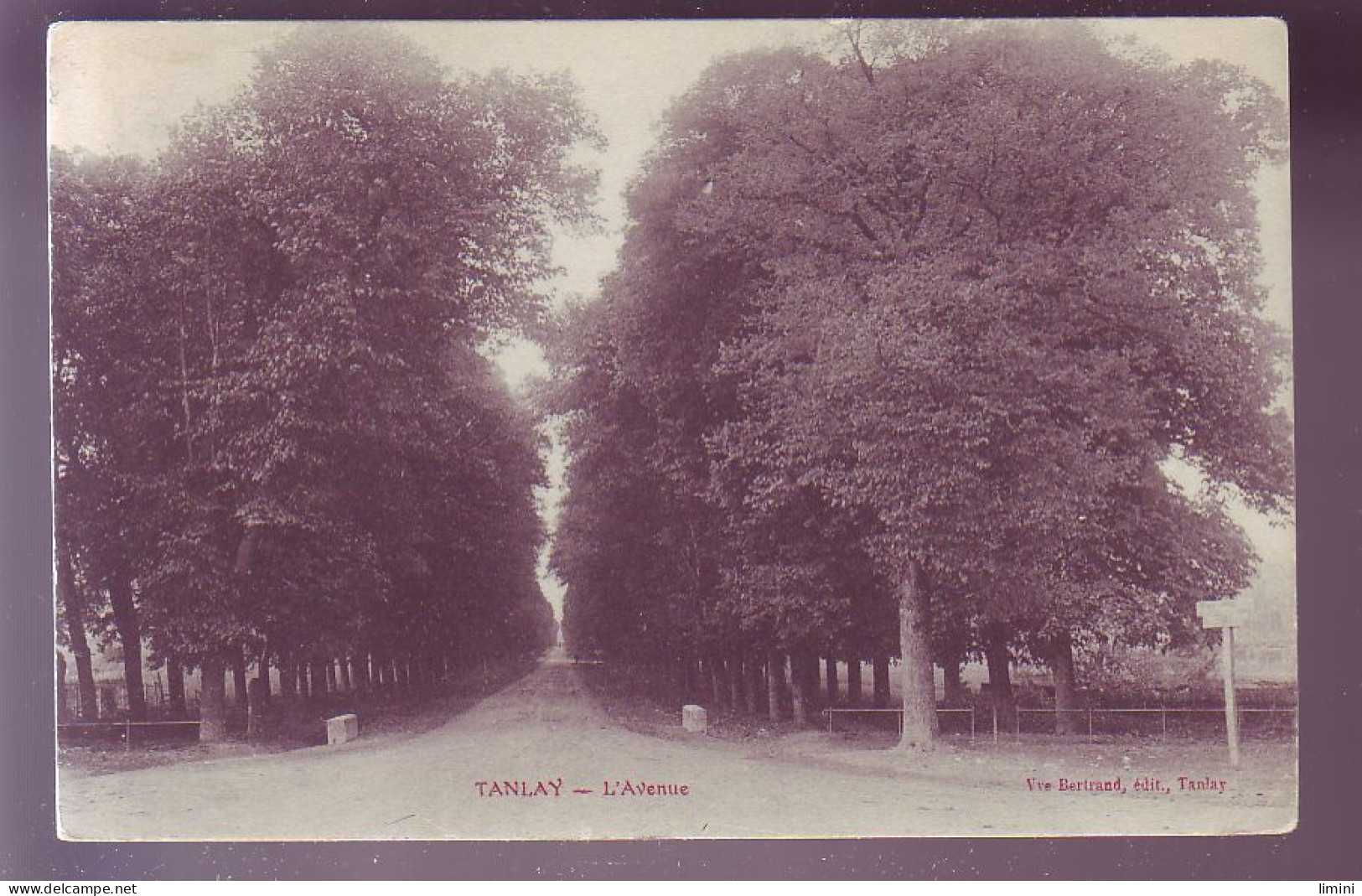 89 - TANLAY - L'AVENUE -  - Tanlay