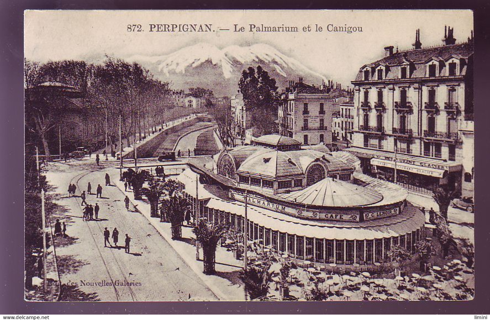 66 - PERPIGNAN - LA PALMARIUM ET LE CANIGOU - ANIMEE -  - Perpignan
