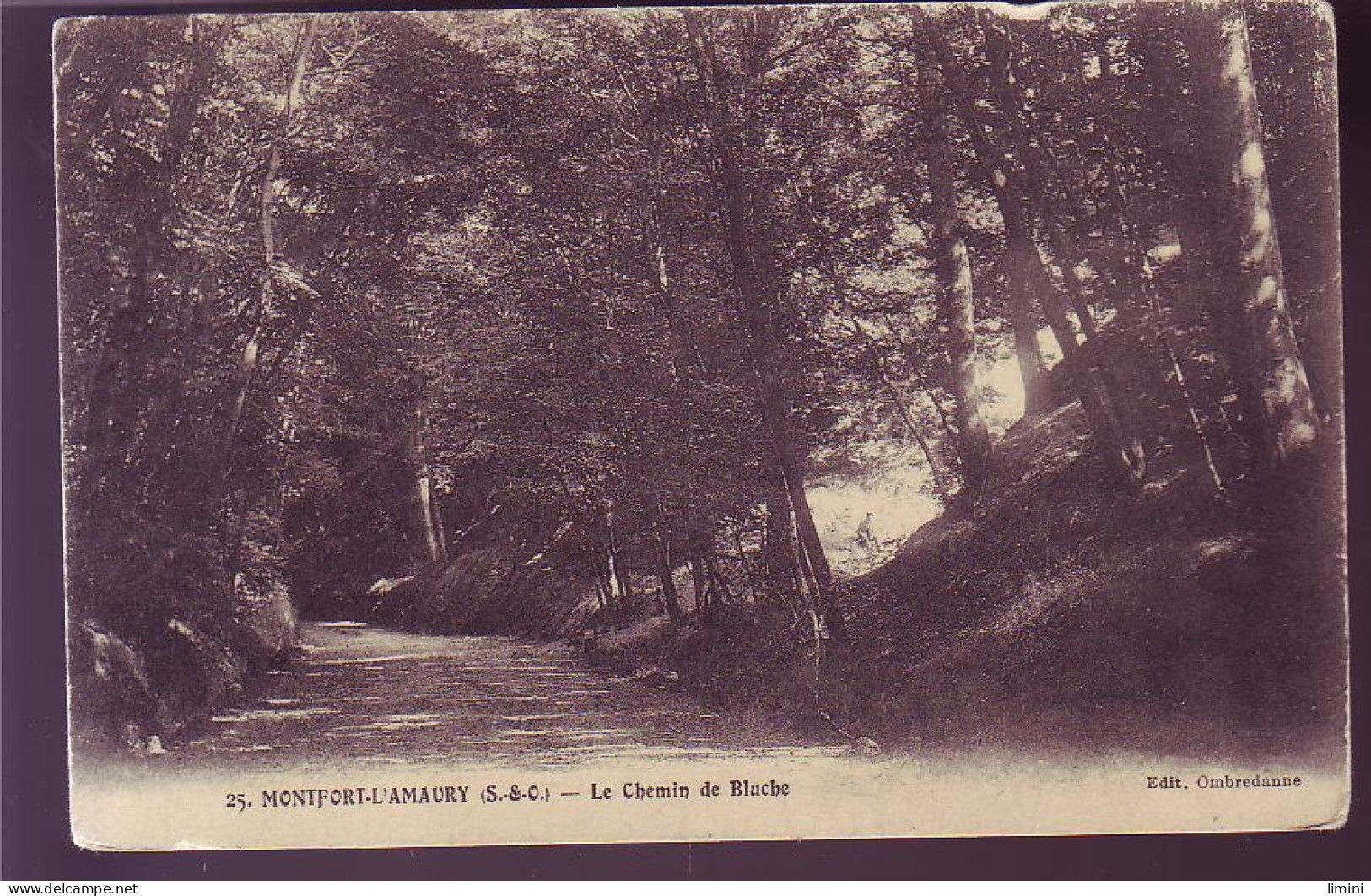 78 - MONTFORT-L'AMAURY - LE CHEMIN DE BLUCHE -  - Montfort L'Amaury