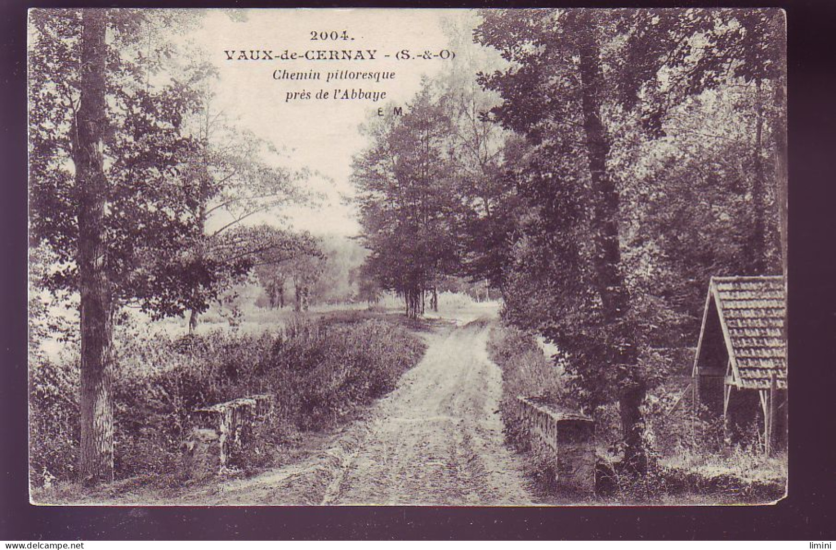 78 - VAUX-de-CERNAY - CHEMIN PRES DE L'ABBAYE -  - Vaux De Cernay