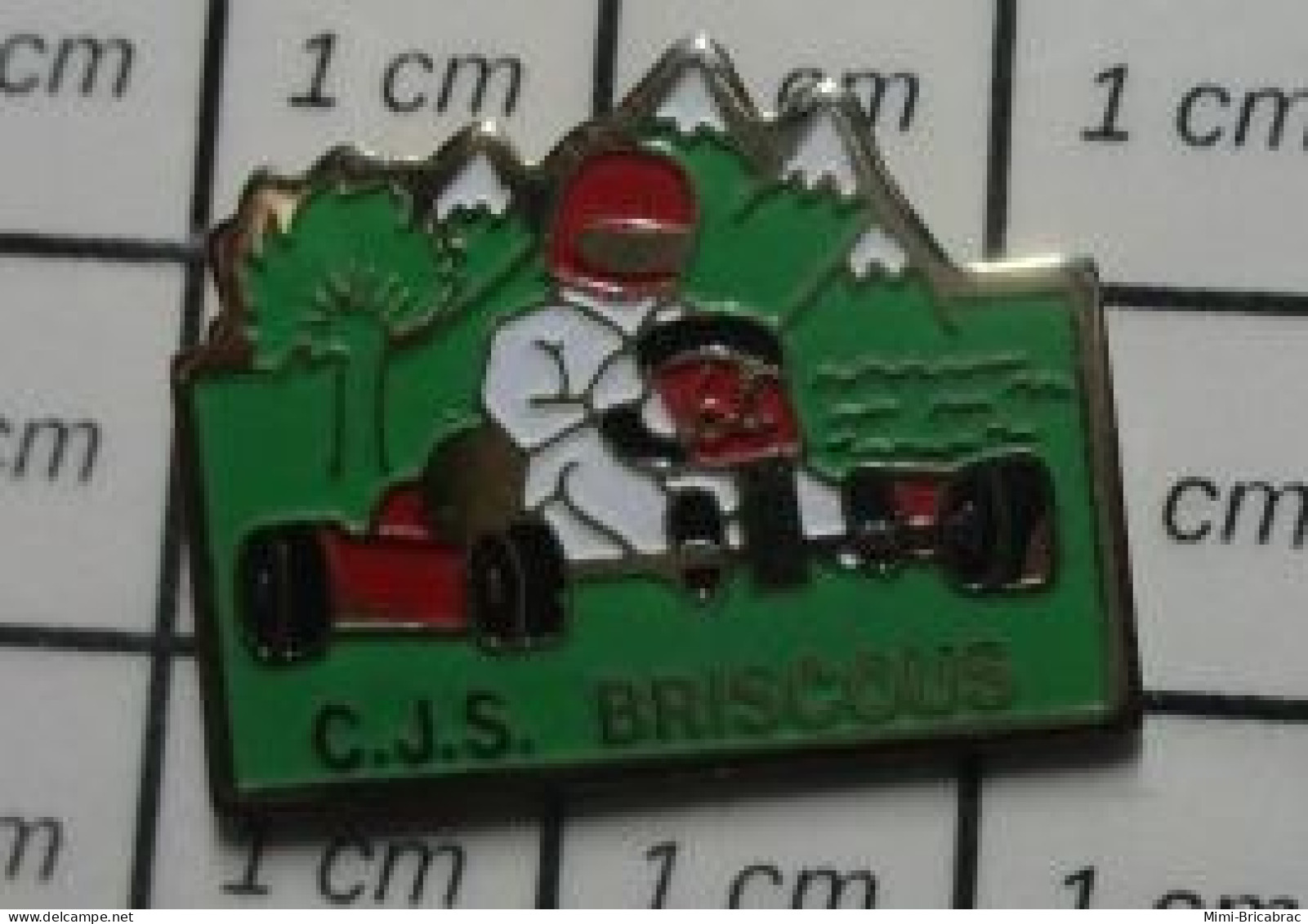 220 Pins Pin's / Rare & Belle Qualité SPORTS /  KARTING CJS BRISCOUS - Automobile - F1