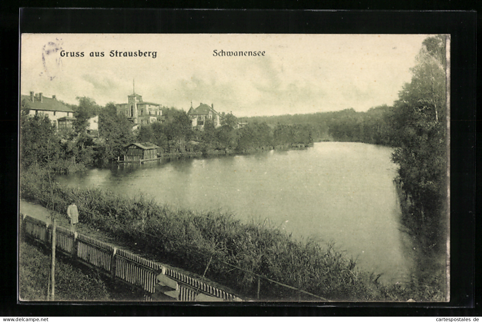 AK Strausberg, Uferweg Am Schwanensee  - Strausberg
