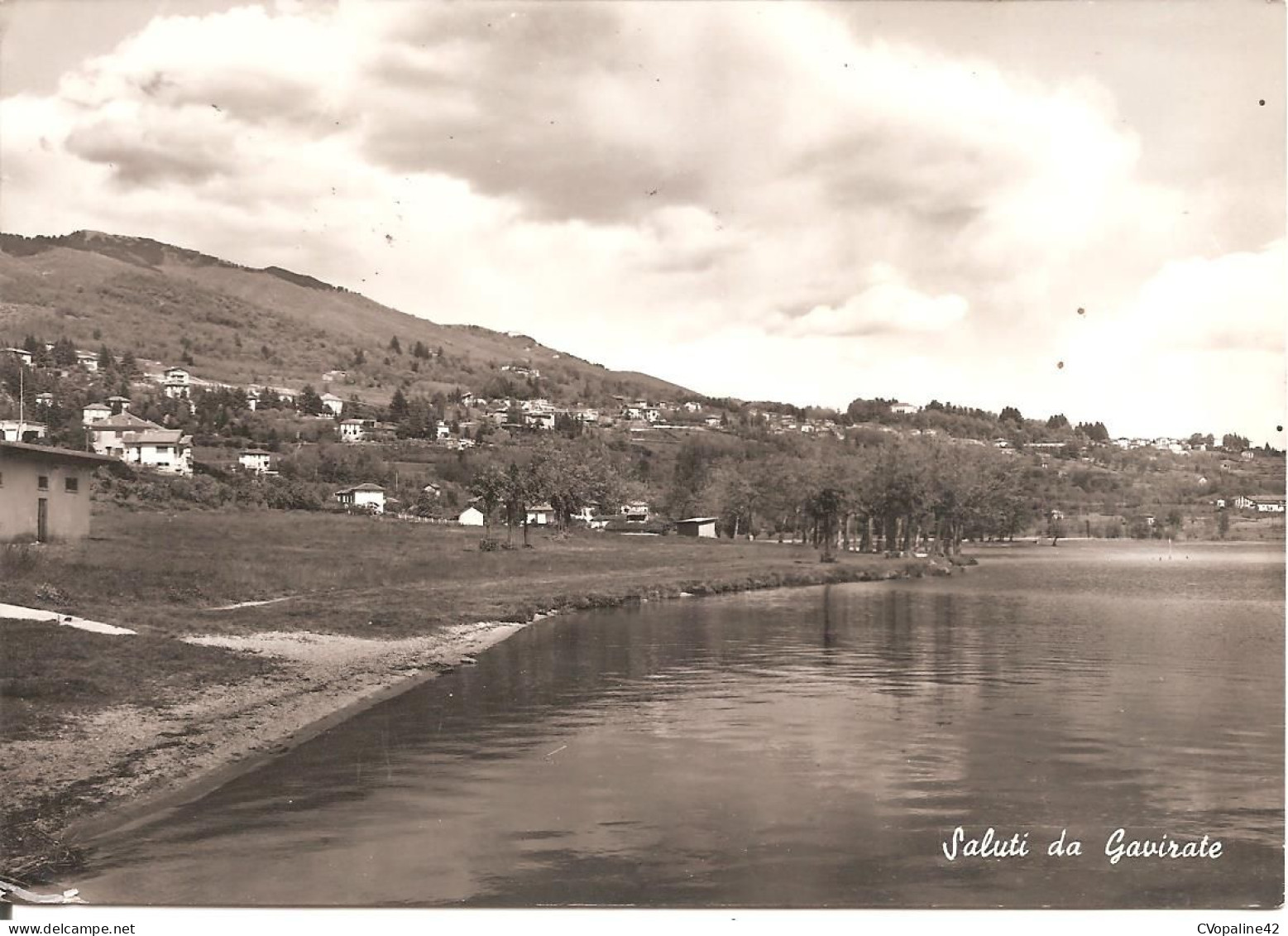 SALUTI DA GAVIRATE (Lombardia) En 1958 - Varese