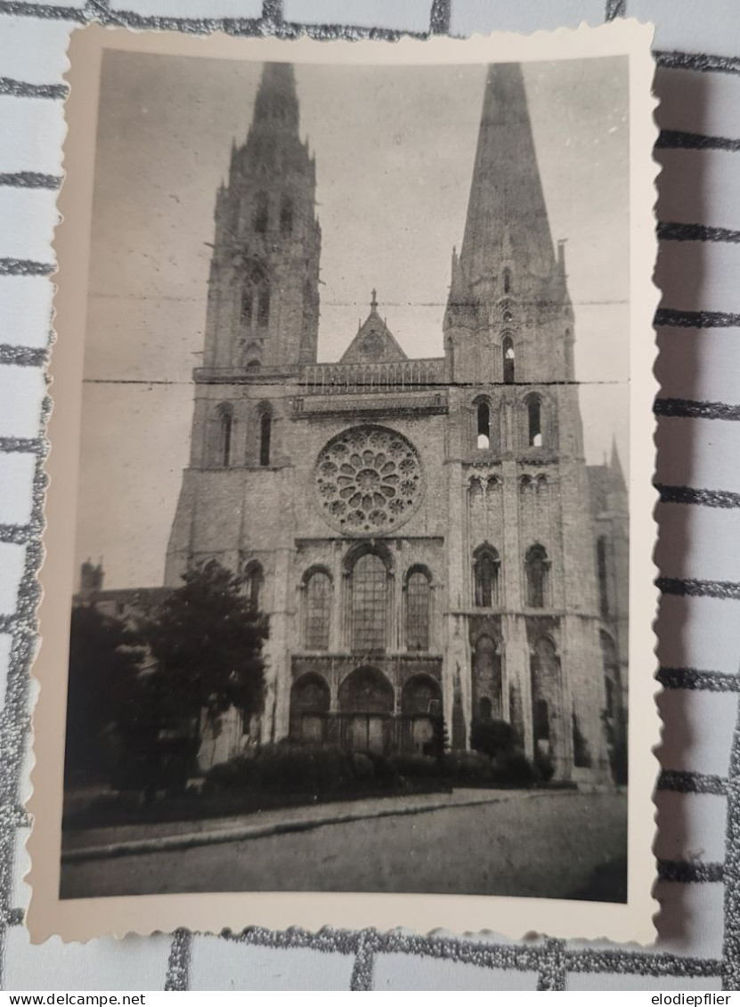 Cathédrale De Chartres 1952 - Europa