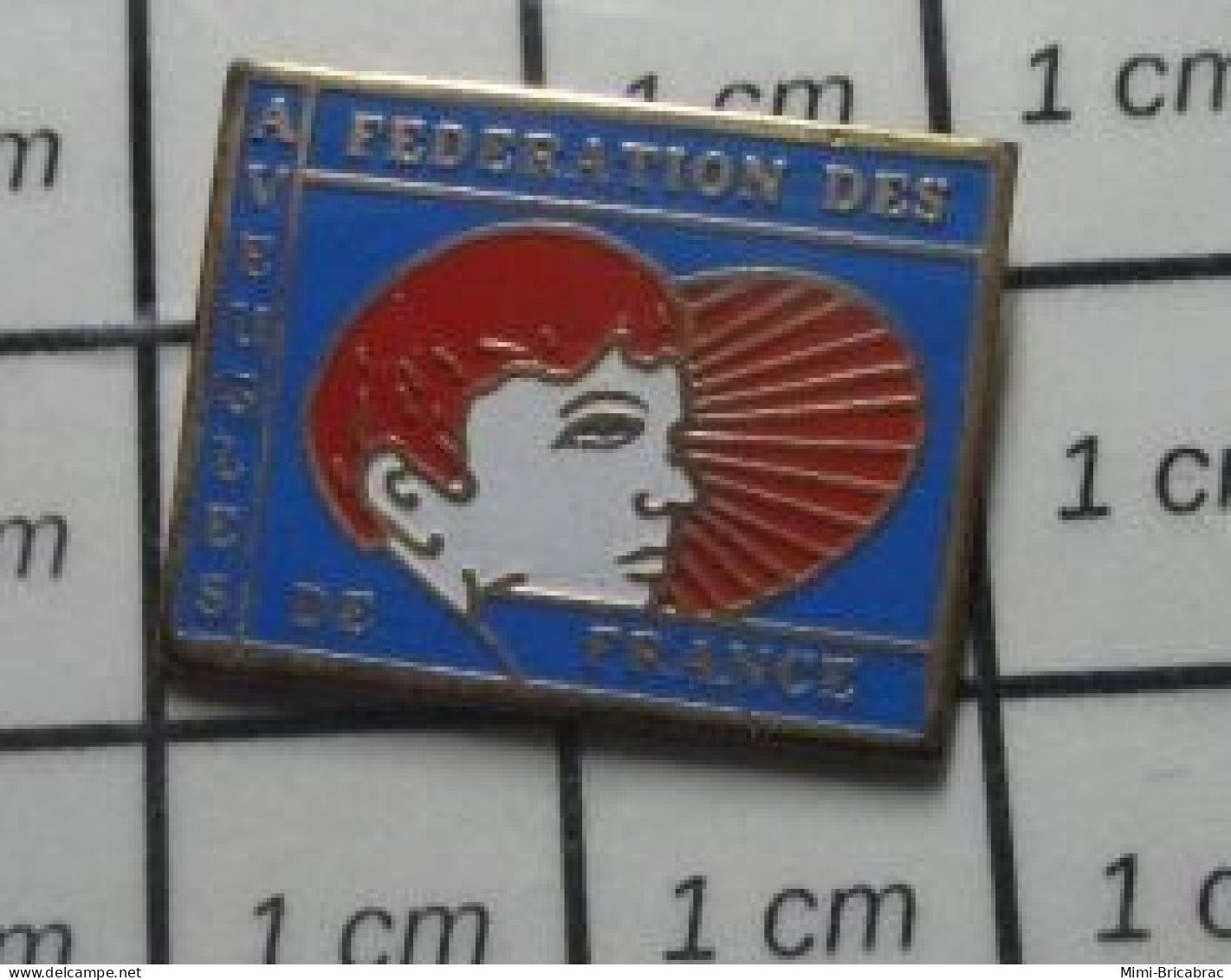 720 Pins Pin's / Rare & Belle Qualité ASSOCIATIONS / FEDERATION DES AVEUGLES DE FRANCE - Vereinswesen