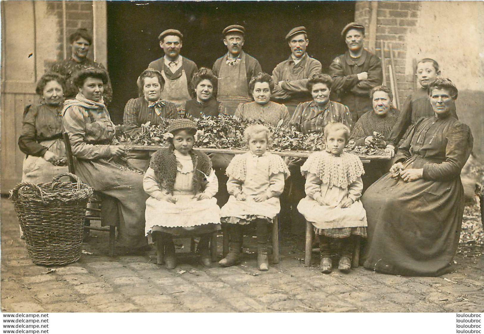 CARTE PHOTO GROUPE DE FEMMES TRIANT DES FEUILLES PEUT ETRE DU TILLEUL - Autres & Non Classés