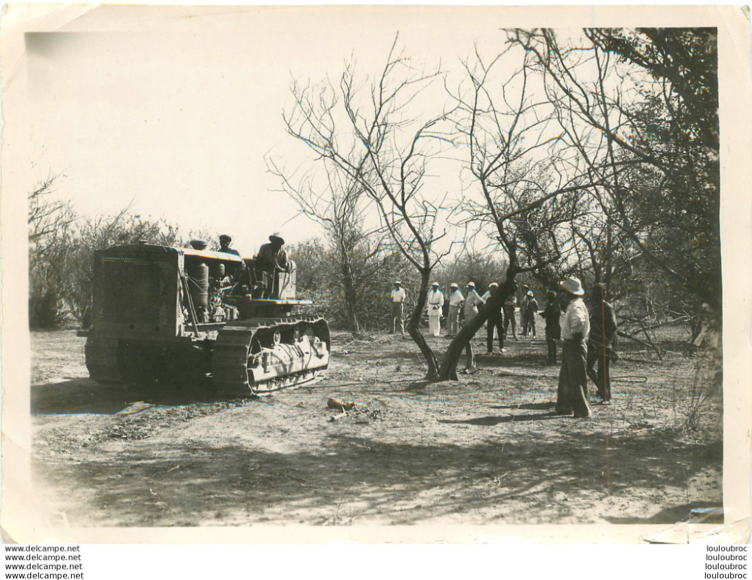 TRACTEUR CARTERPILLAR R.D.8. EN 04/1937 VISITE DU MINISTRE DES COLONIES PHOTO ORIGINALE 18 X 13 CM - Krieg, Militär