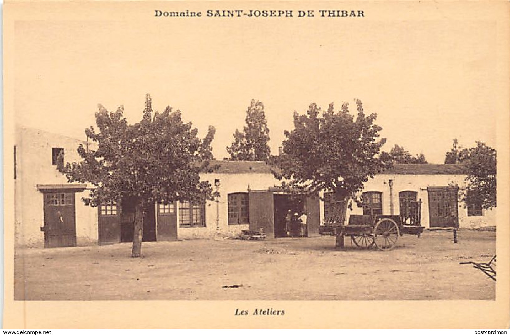 Tunisie - DOMAINE SAINT-JOSEPH DE THIBAR - Les Ateliers - Ed. Perrin - Tunesien