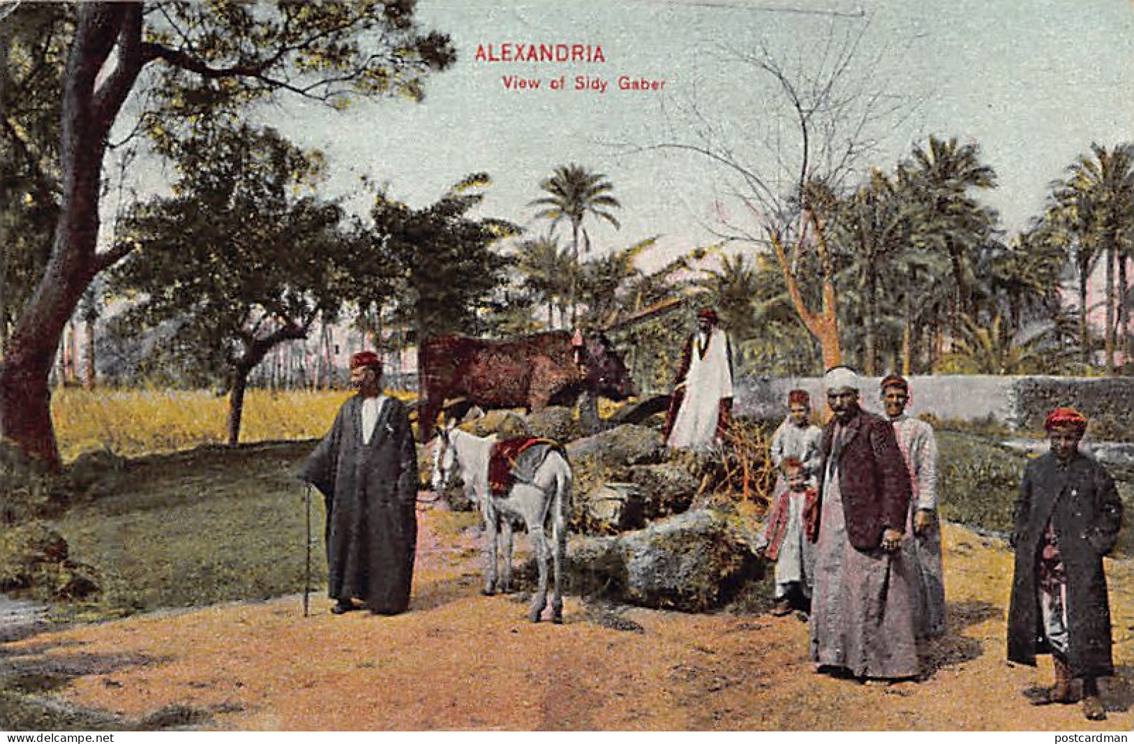 Egypt - ALEXANDRIA - View Of Sidi Gaber - Publ. The Cairo Postcard Trust  - Alexandrië