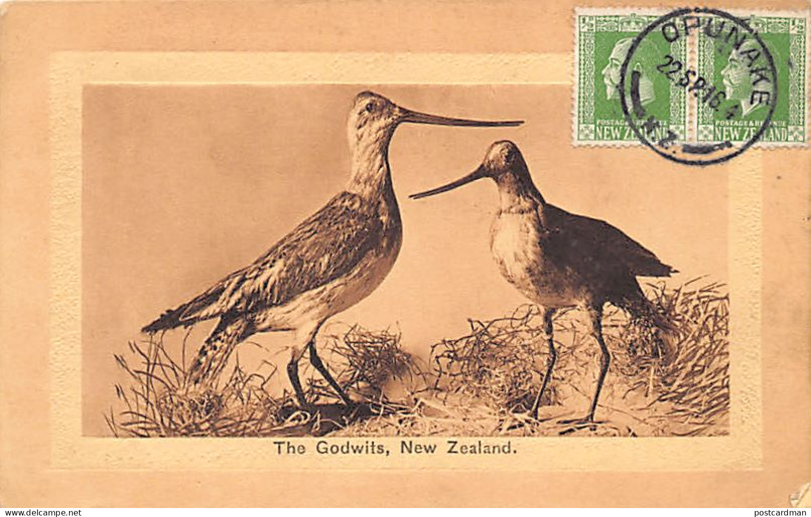 New Zealand - The Godwits - Birds - LIGHTLY UNSTICKED - Publ. Ferguson Ltd.  - New Zealand
