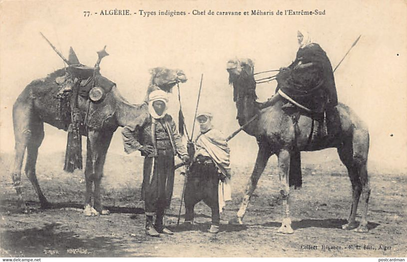 Algérie - Chef De Caravane Et Méharis De L'Extrême-Sud - Touaregs - Ed. E. L. Collection Régence 77 - Scene & Tipi