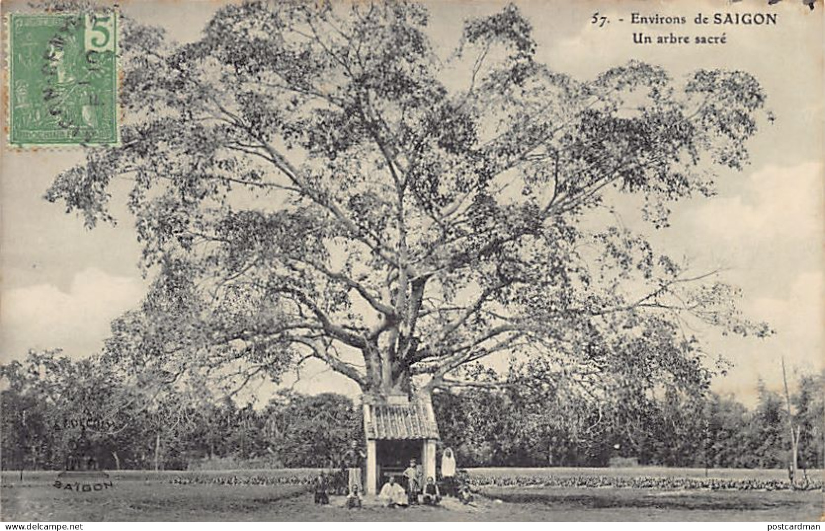 Viet-Nam - Environs De Saigon - Un Arbre Sacré - Ed. A. F. Decoly 57 - Viêt-Nam