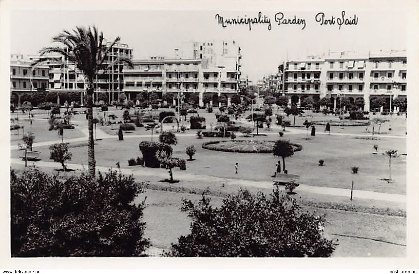 Egypt - PORT-SAÏD - Municipality Garden - REAL PHOTO - Publ. Unknown  - Port-Saïd