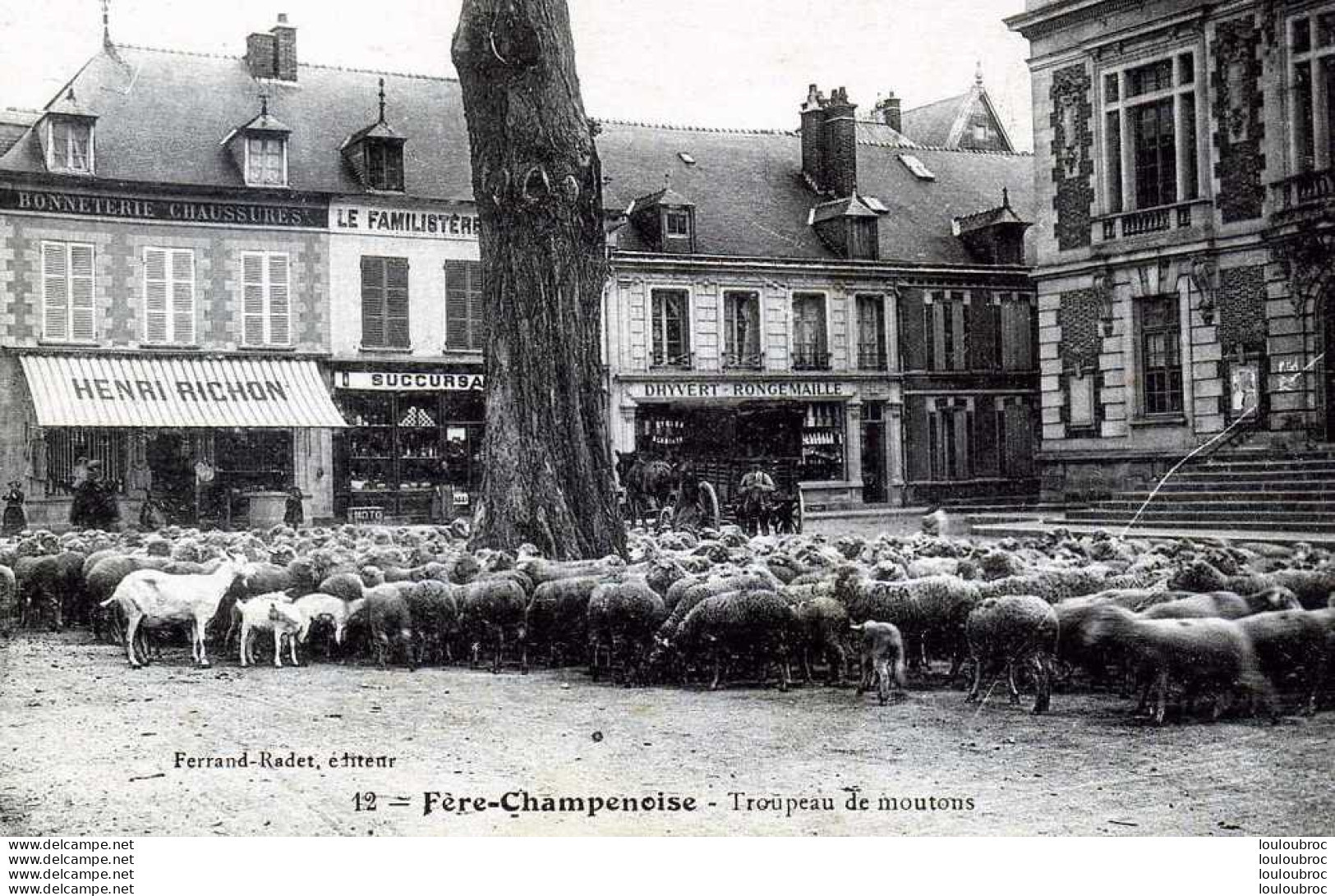 51 FERE CHAMPENOISE TROUPEAU DE MOUTONS - Fère-Champenoise