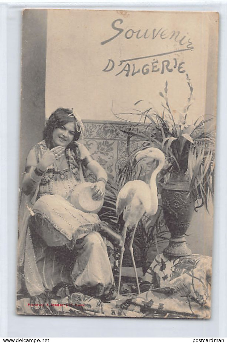 Souvenir D'Algérie - Femme Au Tambourin Et Flamant Rose - Ed. A. Bergeret - Frauen