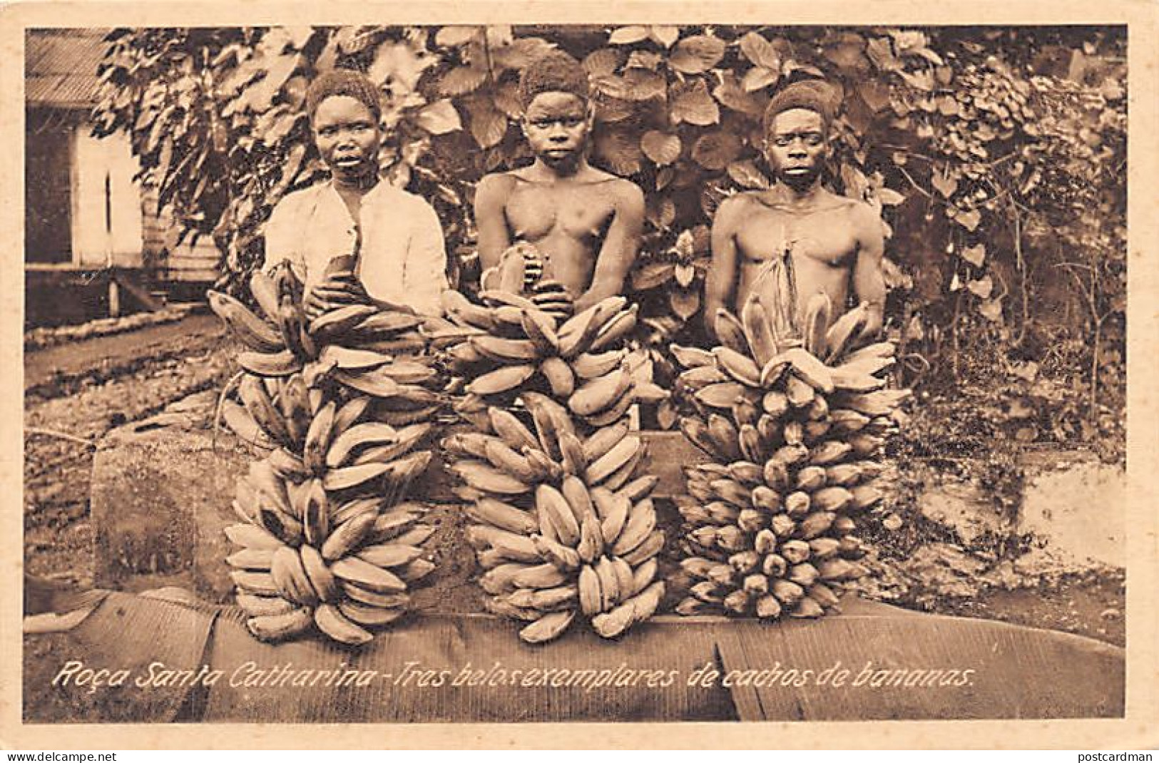 São Tomé & Príncipe - FARM SANTA CATHARINA - Natives And Bananas - Publ. Auspizio Menezes - Sao Tome Et Principe