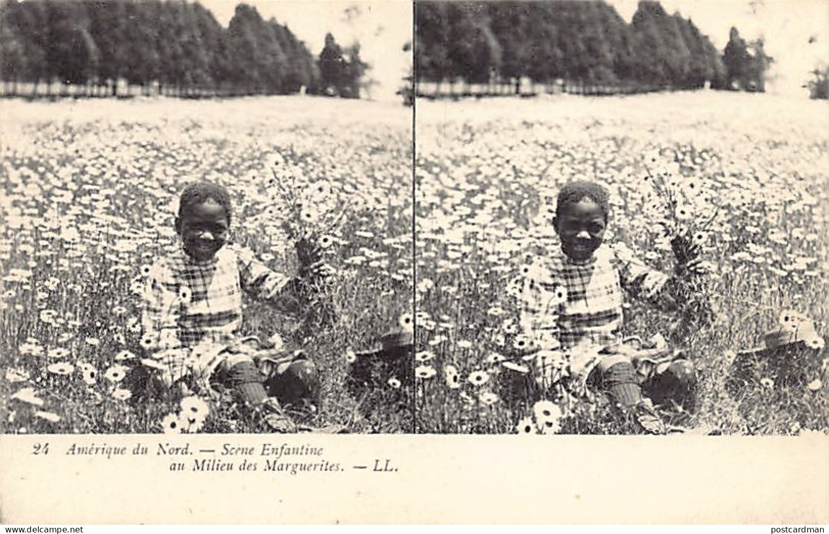 Black Americana - African American Child Among The Daisies - STEREO POSTCARD - Publ. LL Levy & Son 24 - Black Americana