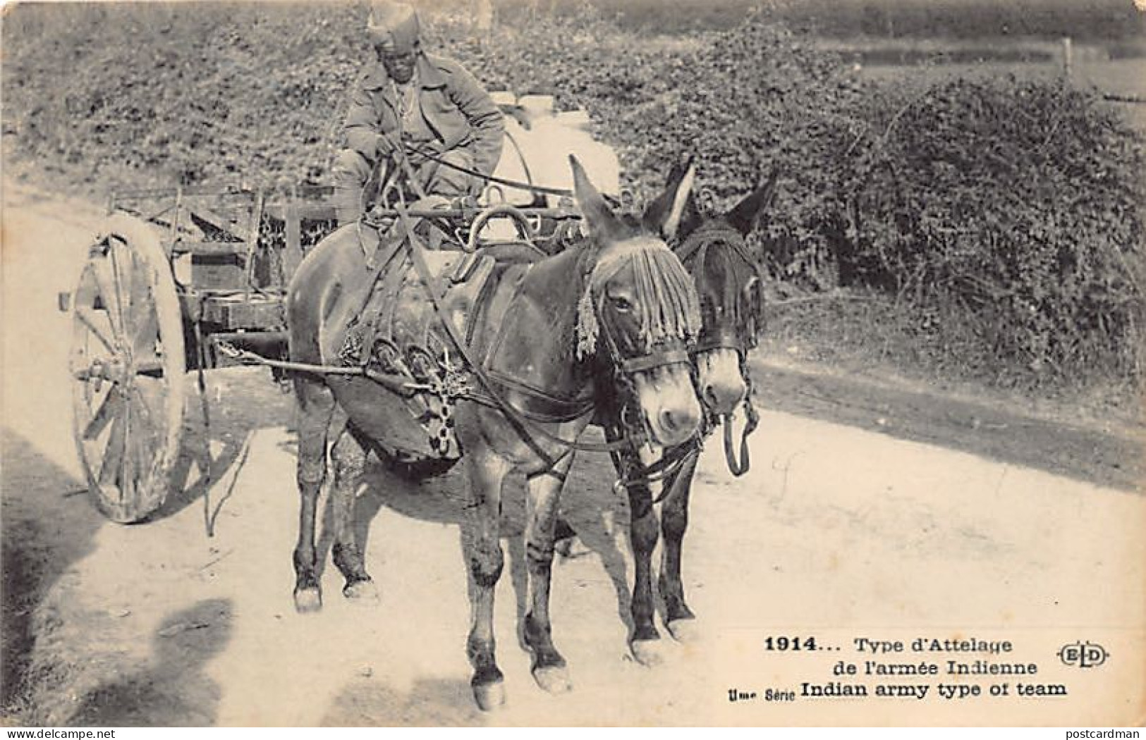 India - WORLD WAR ONE - Type Of Carriage Of The Indian Army In France - India